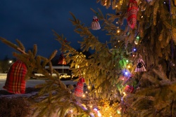 Ziemassvētku pasākumi Balvu novadā
